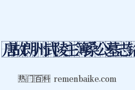 唐故朗州武陵主簿桑公墓志铭是什么意思的图片